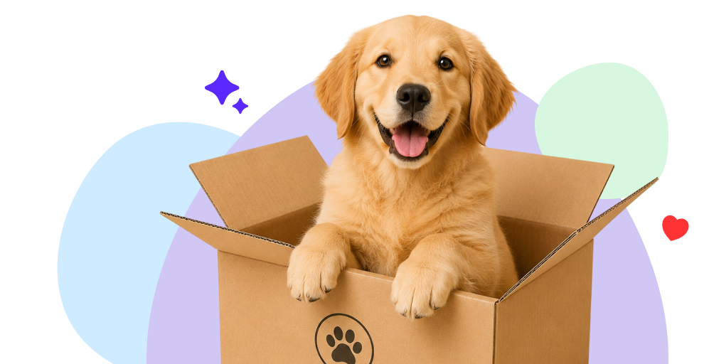 Return & Refund Policy